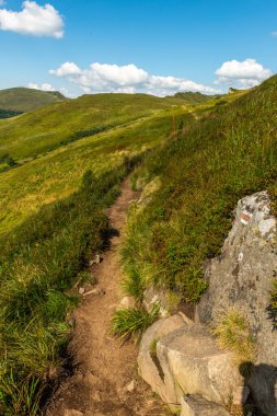 Yazın Bieszczady Dağları 'nda, Karpatlar' da, Polonya 'da vahşi doğada ve manzaralı doğada gezintiye çıkmak.
