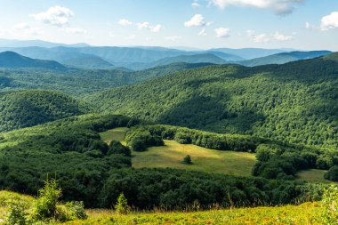 Yazın Bieszczady Dağları, Karpatlar, Polonya 'da vahşi doğa ve manzara ve alp manzarası.