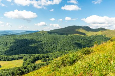 Yazın Bieszczady Dağları, Karpatlar, Polonya 'da vahşi doğa ve manzara ve alp manzarası.