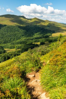 Yazın Bieszczady Dağları 'nda, Karpatlar' da, Polonya 'da vahşi doğada ve manzaralı doğada gezintiye çıkmak.