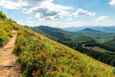 Yazın Bieszczady Dağları, Karpatlar, Polonya 'da vahşi doğa ve manzara ve alp manzarası.