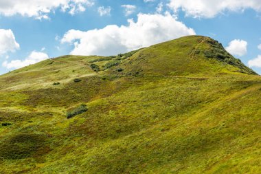 Yazın Bieszczady Dağları, Karpatlar, Polonya 'da vahşi doğa ve manzara ve alp manzarası.