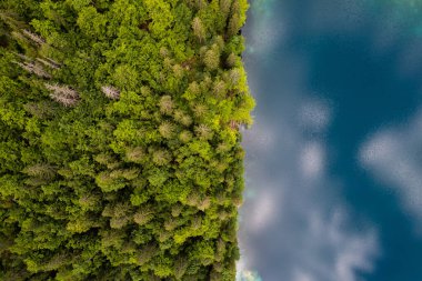 Zümrüt Gölü 'ndeki yeşil çam ağacı ormanı. Hava aracı görüntüsü, tepeden tırnağa. Doğada güzellik.