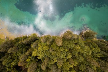 Sonbaharda göl kenarında çam ağacı ormanı. İtalya 'daki Fusine Gölü. Hava aracı görünümü