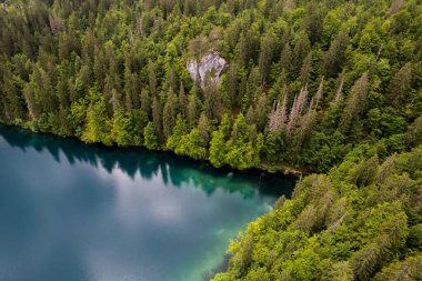 Zümrüt Gölü 'ndeki yeşil çam ağacı ormanı. Hava aracı görüntüsü, tepeden tırnağa. Doğada güzellik.
