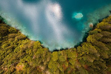 Sonbaharda göl kenarında çam ağacı ormanı. İtalya 'daki Fusine Gölü. Hava aracı görünümü