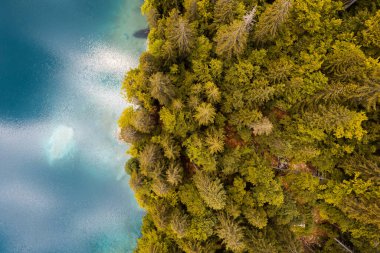 Sonbaharda göl kenarında çam ağacı ormanı. İtalya 'daki Fusine Gölü. Hava aracı görünümü