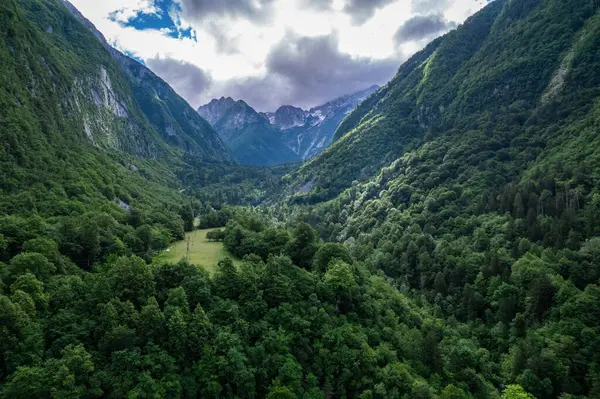 Slovenya 'nın Soca Vadisi' ndeki yeşil ormanlı Alp manzarası. Hava aracı görünümü