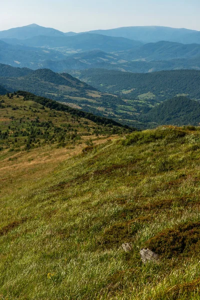 Yazın Bieszczady Dağları, Karpatlar, Polonya 'da vahşi doğa ve manzara ve alp manzarası.