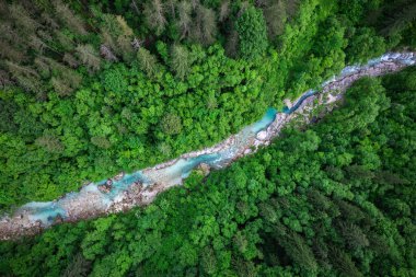 Slovenya 'daki Soca Nehri. Ormandaki zümrüt yeşili nehrin yukarıdan görünüşü