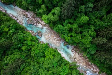 Slovenya 'daki Soca Nehri. Ormandaki zümrüt yeşili nehrin yukarıdan görünüşü