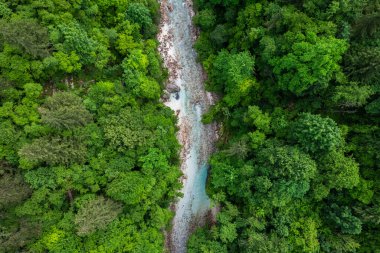 Slovenya 'daki Soca Nehri. Ormandaki zümrüt yeşili nehrin yukarıdan görünüşü