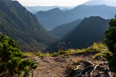 Polonya 'nın Tatra Dağları' ndaki manzaralı dağ manzarası yaz gündoğumunda.