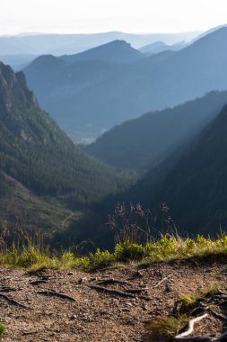 Polonya 'nın Tatra Dağları' ndaki manzaralı dağ manzarası yaz gündoğumunda.