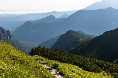 Yaz mevsiminde Polonya 'nın Tatra Dağları' nda Alp izleri. Manzara ve doğa..
