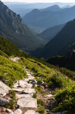 Yaz mevsiminde Polonya 'nın Tatra Dağları' nda Alp izleri. Manzara ve doğa..