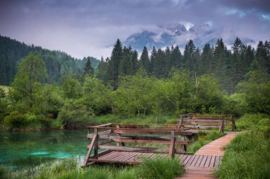 Slovenya 'nın Kranjska Gora kenti yakınlarındaki Zelenci Springs doğa rezervi. Sava nehir kaynağı.