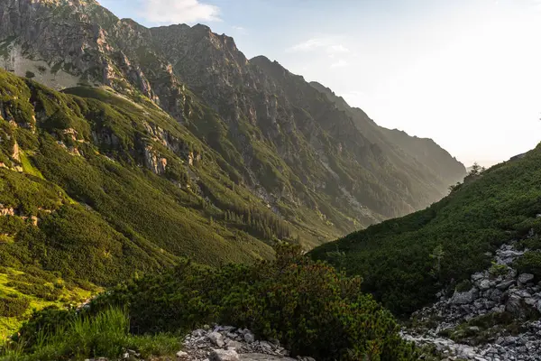 Trilha Alpina Nas Montanhas Tatra Polônia Verão Paisagem Cênica Natureza — Fotografia de Stock