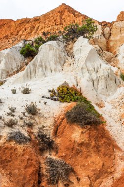 Güneşli bir günde Portekiz, Algrave 'deki kumlu sahilde kızıl kayalıklar