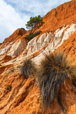 Güneşli bir günde Portekiz, Algrave 'deki kumlu sahilde kızıl kayalıklar