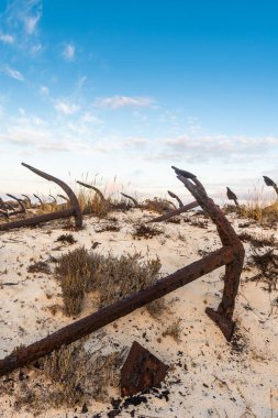 Santa Luzia Anchor Mezarlığı, Portekiz. Praia do Barril plajının kum tepeleri, Algarve