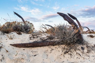 Tavira, Algarve, Portekiz 'deki Barril plajındaki eski çapaların mezarlığı.
