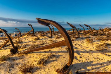 Tavira, Algarve, Portekiz 'deki Barril plajındaki eski çapaların mezarlığı.