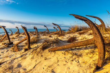 Praia do Barril sahilindeki Anchor Mezarlığı 'nın sahilindeki paslı eski çapalar Tavira, Algarve, Portekiz