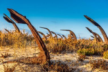 Praia do Barril sahilindeki Anchor Mezarlığı 'nın sahilindeki paslı eski çapalar Tavira, Algarve, Portekiz