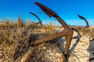 Tavira, Algarve, Portekiz 'deki Barril plajındaki eski çapaların mezarlığı.