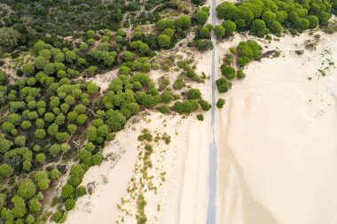 Duna de Valdevaqueros 'un (Valdevaqueros Dune) Tarifa, İspanya' daki beyaz kum tepelerinin insansız hava aracı görüntüsü.