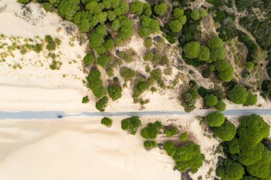 Duna de Valdevaqueros 'un (Valdevaqueros Dune) Tarifa, İspanya' daki beyaz kum tepelerinin insansız hava aracı görüntüsü.