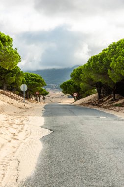 Tarifa, Cadiz, İspanya 'da Valdevaqueros' tan geçen kumlu bir yol.