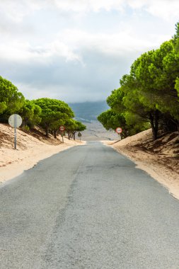 Tarifa, Cadiz, İspanya 'da Valdevaqueros' tan geçen kumlu bir yol.
