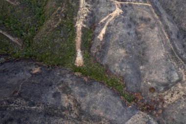 Portekiz 'deki Ulusal Park' ta çıkan yangından sonra ormanda yanan ağaçlar, hava aracı görüntüsü...