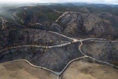 Portekiz 'deki Ulusal Park' ta çıkan yangından sonra ormanda yanan ağaçlar, hava aracı görüntüsü...
