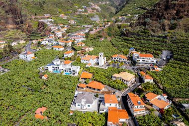 Madeira Atlantik Okyanusu kıyısında muz çiftliği olan küçük bir çiftçi köyünün havadan görünüşü