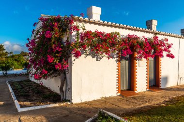 Portekiz sahilinde geleneksel balıkçı evi.