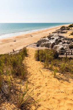 Praia da Falesia, Algarve, Portekiz 'deki çarpıcı uçurumlar ve kumlu plajlar