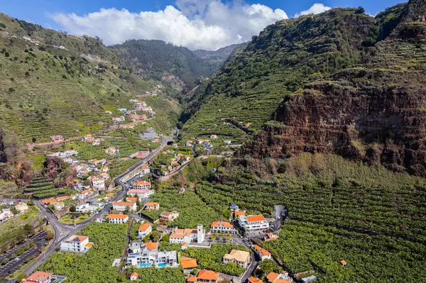 Madeira Atlantik Okyanusu Kıyısında Muz Çiftliği Olan Küçük Bir Çiftçi Telifsiz Stok Imajlar