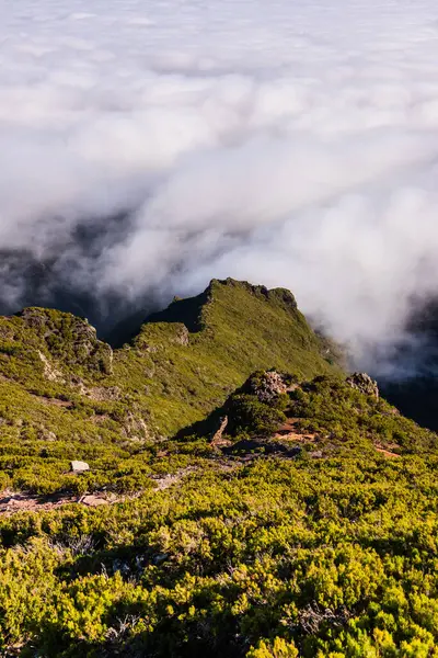 Madeira Dağları Bulutların Tepesinde Telifsiz Stok Fotoğraflar