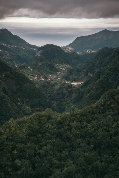 Vista Panorámica Ciudad Bajo Niebla Isla Madeira Amanecer Fotos De Stock Sin Royalties Gratis