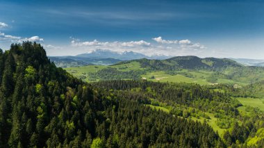 Pieniny Ulusal Parkı ve karlı Tatra Dağları 'nın yeşil tepeleri üzerindeki hava aracı görüntüsü