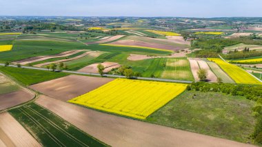 Renkli tarım arazileri ve ekin tarlaları. Hava aracı görünümü