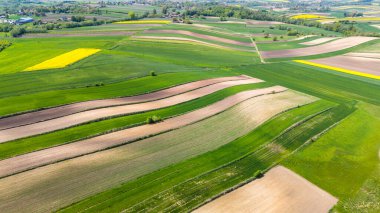 Colorful agriculture farmland and crop fields. Aerial drone view clipart