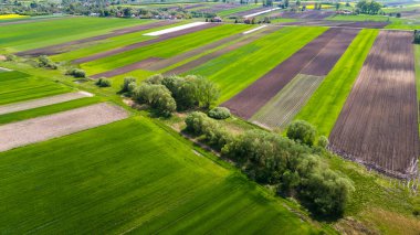 Renkli tarım arazileri ve ekin tarlaları. Hava aracı görünümü