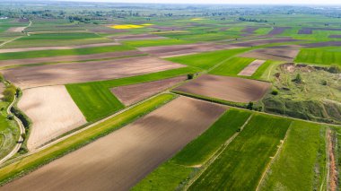 Ponidzie, Polonya 'da güzel bir çiftlik ve kırsal alan. Hava aracı görüntüsü