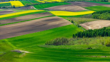 Ponidzie, Polonya 'da güzel bir çiftlik ve kırsal alan. Hava aracı görüntüsü