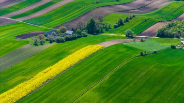 Polonya 'nın Ponidzie bölgesindeki renkli kırsal ve tarım arazileri. Hava aracı görünümü