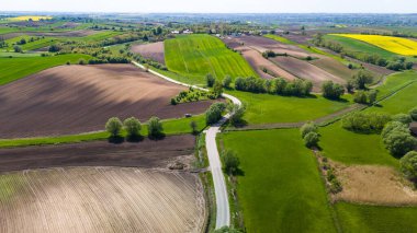 Polonya 'nın Ponidzie bölgesinde virajlı kırsal yol. Hava aracı görünümü